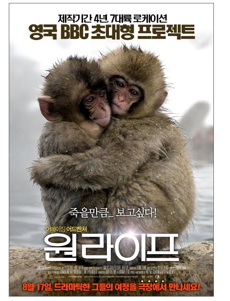 원라이프 27일.jpg