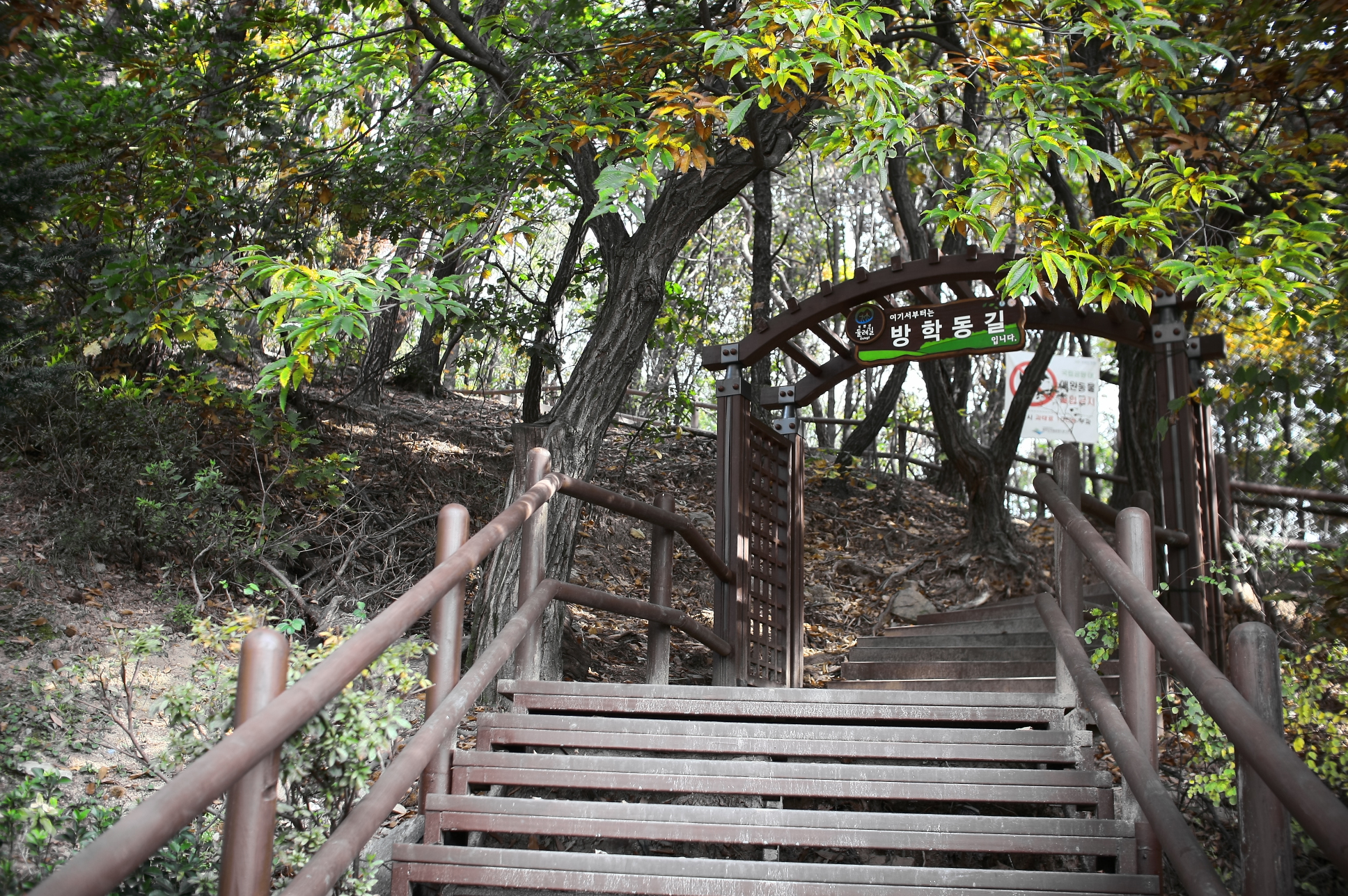 방학동길.JPG