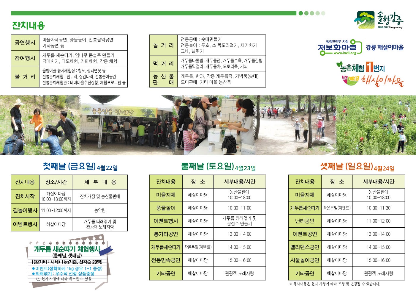 해살이마을 개두릅잔치 리플렛2.jpg