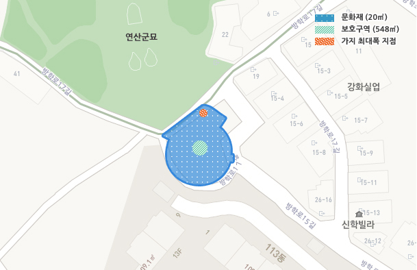 녹색 : 문화재(20㎡) 파란색 : 보호구역(548㎡) 주황색 : 가지 최대폭 지점 