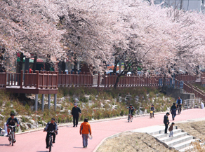 우이천과 벚꽃길 주변전경2