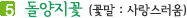 5. 돌양지꽃 (꽃말 : 사랑스러움)